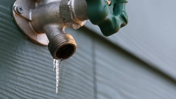 Best Sewer Line Replacement  in Branchville, SC